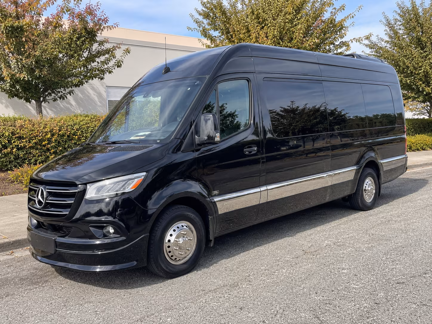 sprinter van options for fremont trips